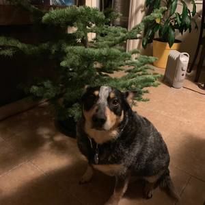 Meet your Posher, Jerry